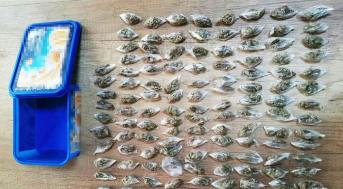 Krivična prijava zbog trgovine narkoticima Zaplenjena marihuana u Indjiji