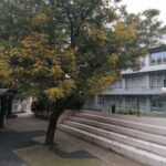 Trg Mladenaca