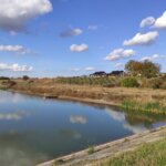 Jarkovacko jezero brana