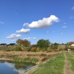 Jarkovacko jezero putic na brani